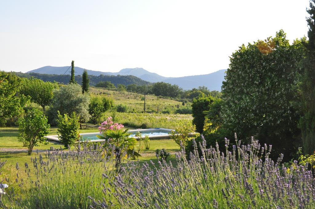 Le Mas En Provence Bed & Breakfast Entrechaux Dış mekan fotoğraf
